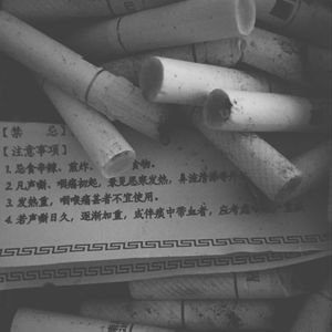 免费观看调教网
