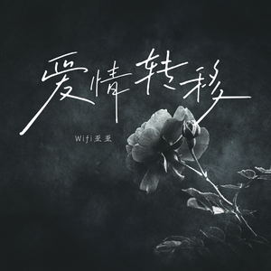 免费观看调教网
