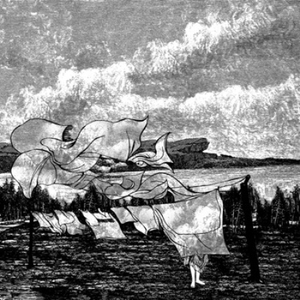 免费观看调教网
